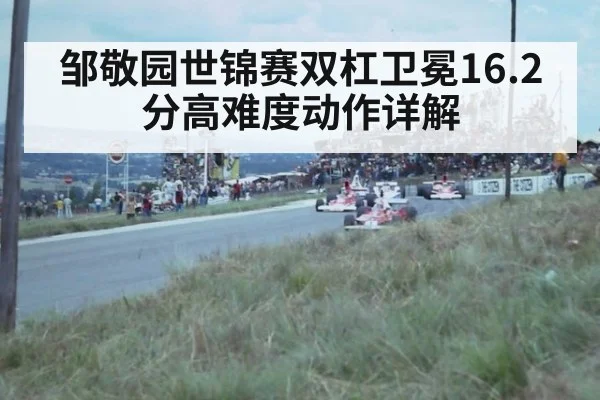 邹敬园世锦赛双杠卫冕16.2分高难度动作详解
